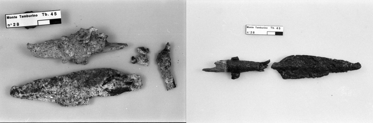 cuspide di lancia in ferro prima e dopo il restauro